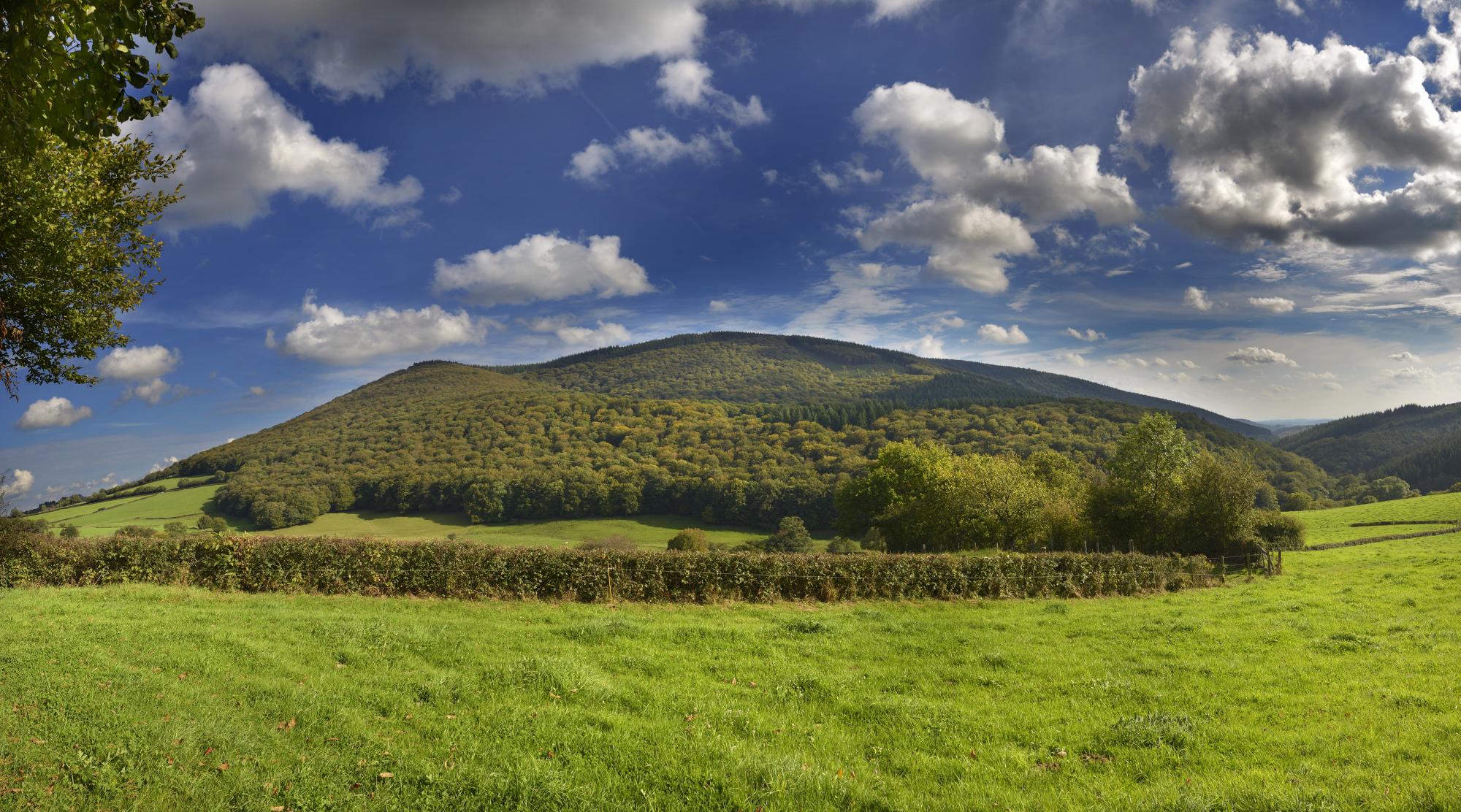 GSF Bibracte Morvan des Sommets (cliché A. Maillier, n°101 136)