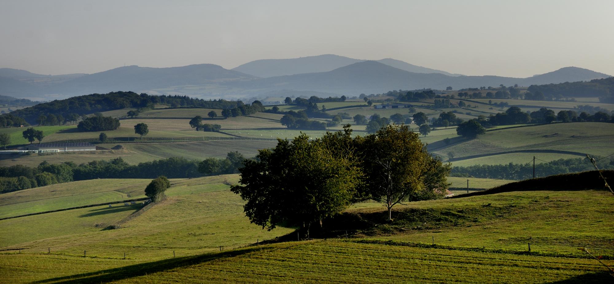 Le mont Beuvray depuis la D 981 entre Fours et Luzy (58)